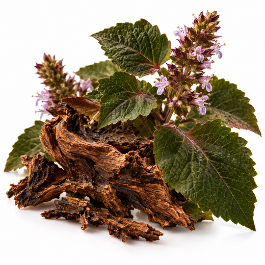Patchouli